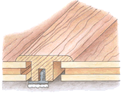 Prefinished Wood Moldings: T-Molding